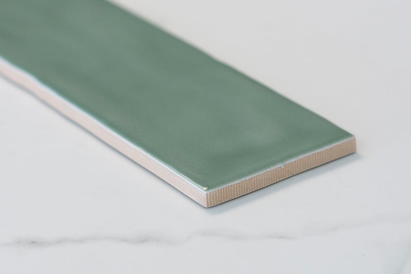 Evolution Eucalyptus Gloss 75x300
