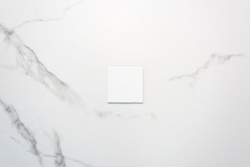 Evolution White Gloss 100x100