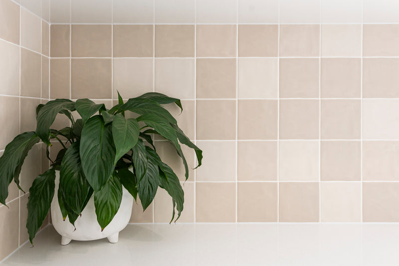 Evolution Bone Mix Matt 125x125