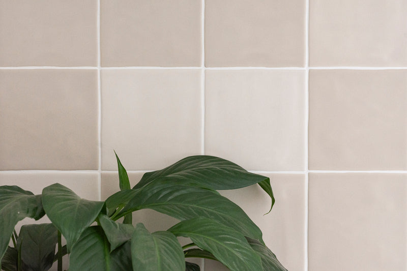 Evolution Bone Mix Matt 125x125