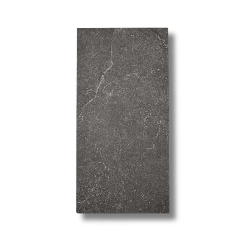 Evoque Coal Matt 297x600