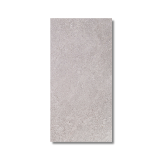 Newton Cinder Matt 297x600