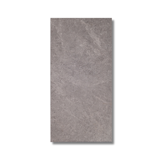 Newton Coal Matt 297x600