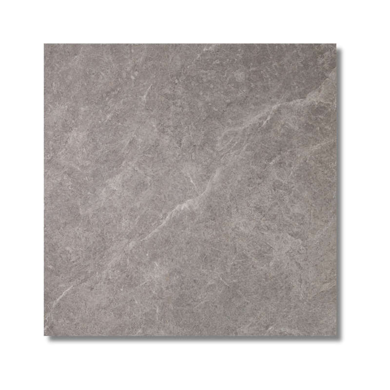 Newton Coal Matt 600x600