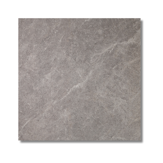 Newton Coal Matt 600x600