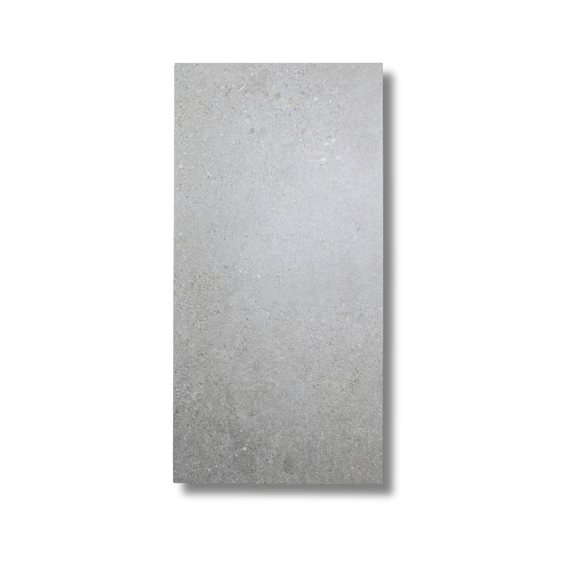 Terramix Silver Matt 297x600