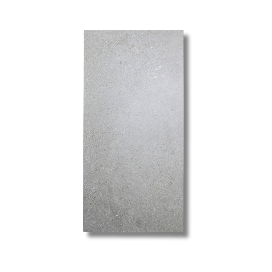 Terramix Silver Matt 297x600