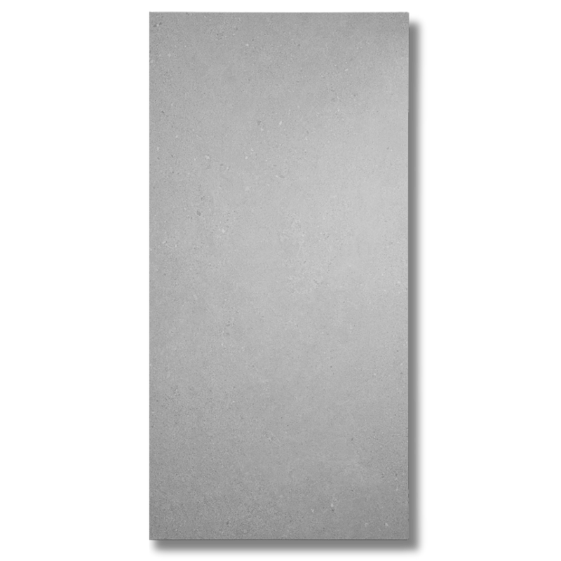 Terramix Silver Matt 600x1200