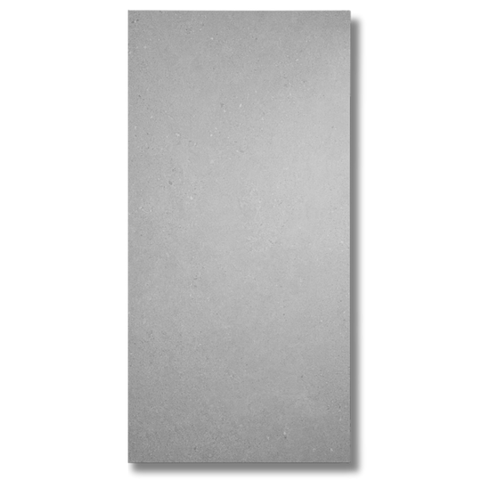 Terramix Silver Matt 600x1200