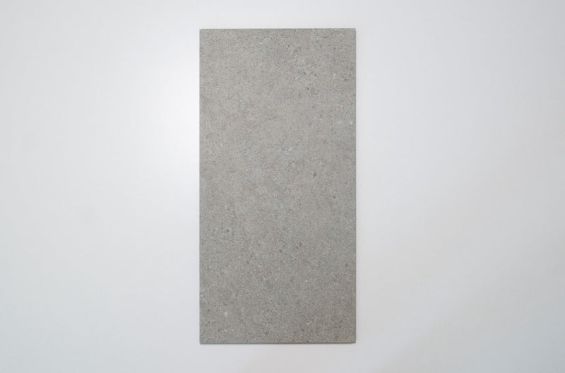 Terramix Silver R11 297x600