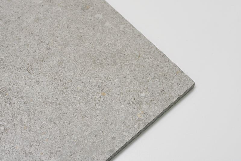 Terramix Silver Matt 600x1200