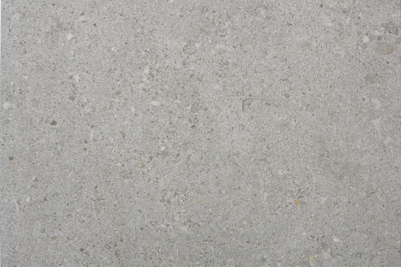 Terramix Silver Matt 297x600