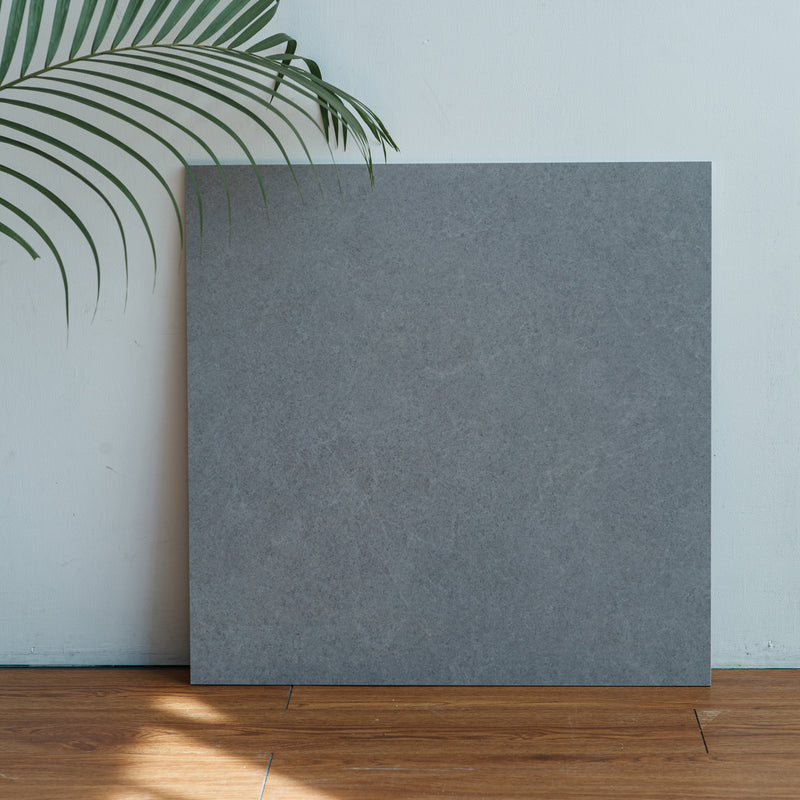 Mars Argento Honed 600x600